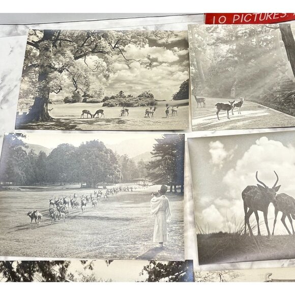 Nara-Park Japan RPPC Postcard Vintage Set of 9 Travel Souvenir Photos 1940s - Picture 7 of 16